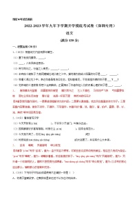 语文-2022-2023学年九年级语文下学期开学摸底考试卷（广东深圳专用）