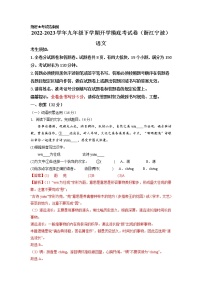语文-2022-2023学年九年级语文下学期开学摸底考试卷（浙江宁波专用）