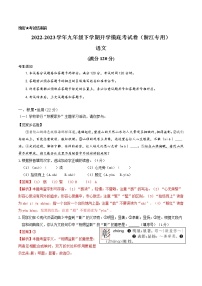 语文-2022-2023学年九年级语文下学期开学摸底考试卷（浙江杭州专用）