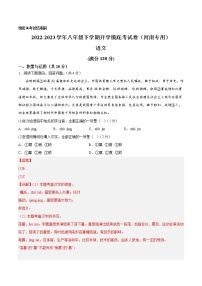 语文-2022-2023学年八年级语文下学期开学摸底考试卷（河南专用）