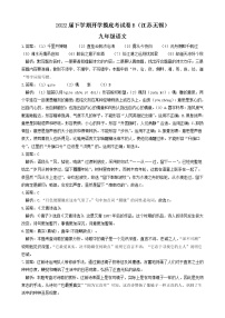 语文-2022届九年级下学期开学摸底考试卷B（江苏南京）