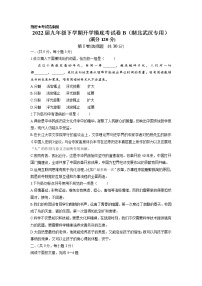 语文-2022届九年级下学期开学摸底考试卷B（湖北武汉专用）