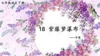 人教部编版七年级下册18 紫藤萝瀑布优质ppt课件