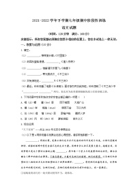 福建省宁德市霞浦县2021-2022学年七年级下学期期中阶段性训练语文试卷