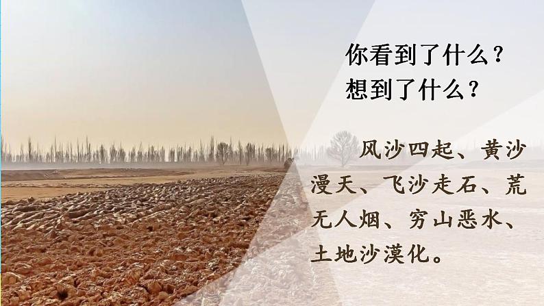 19青山不老 课件+教案——语文六年级下册人教部编版（五四制）01