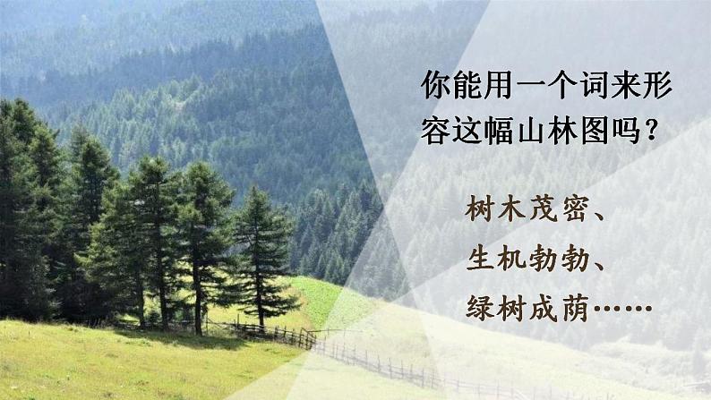 19青山不老 课件+教案——语文六年级下册人教部编版（五四制）02