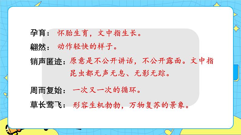 5 大自然的语言 课件 初中语文人教部编版（五四制）八年级下册06