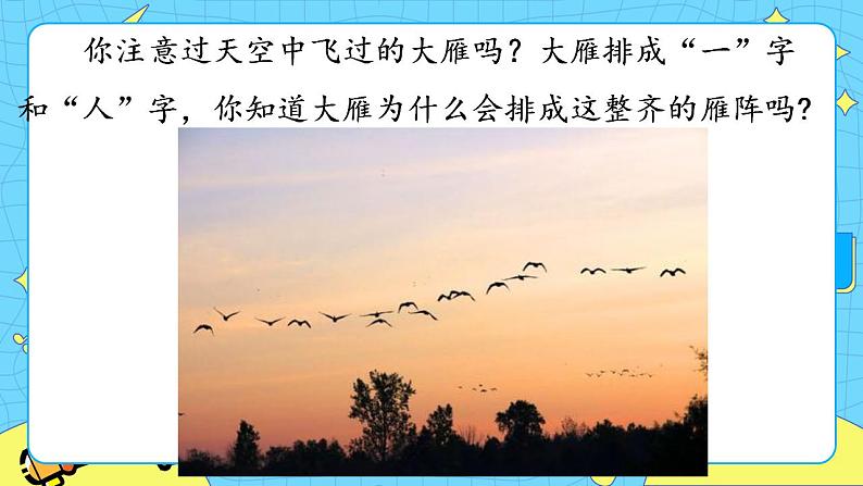 7 大雁归来 课件 初中语文人教部编版（五四制）八年级下册第2页