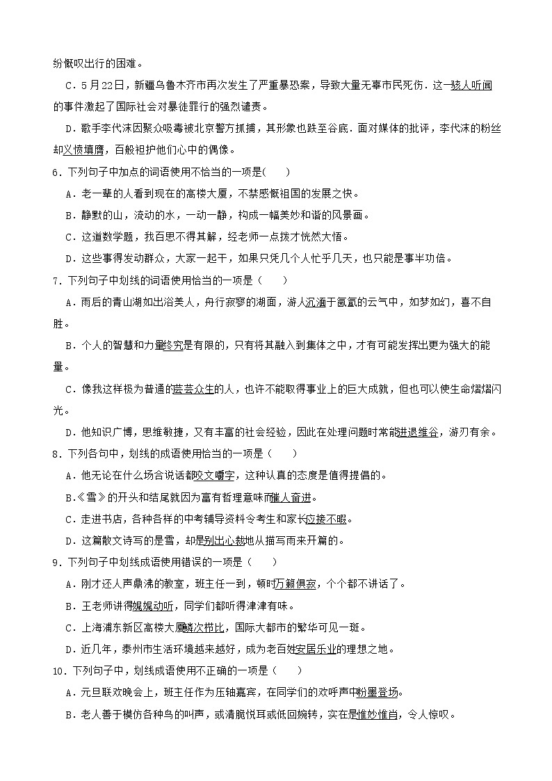 中考语文一轮专题复习：成语及惯用语第2页