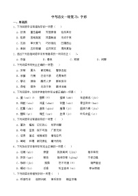 中考语文一轮专题复习：字形