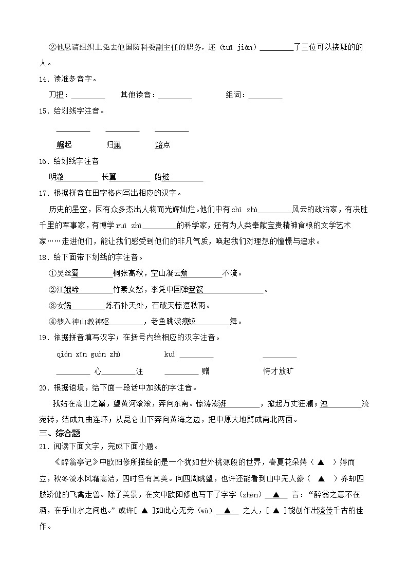 中考语文一轮专题复习：字音第3页