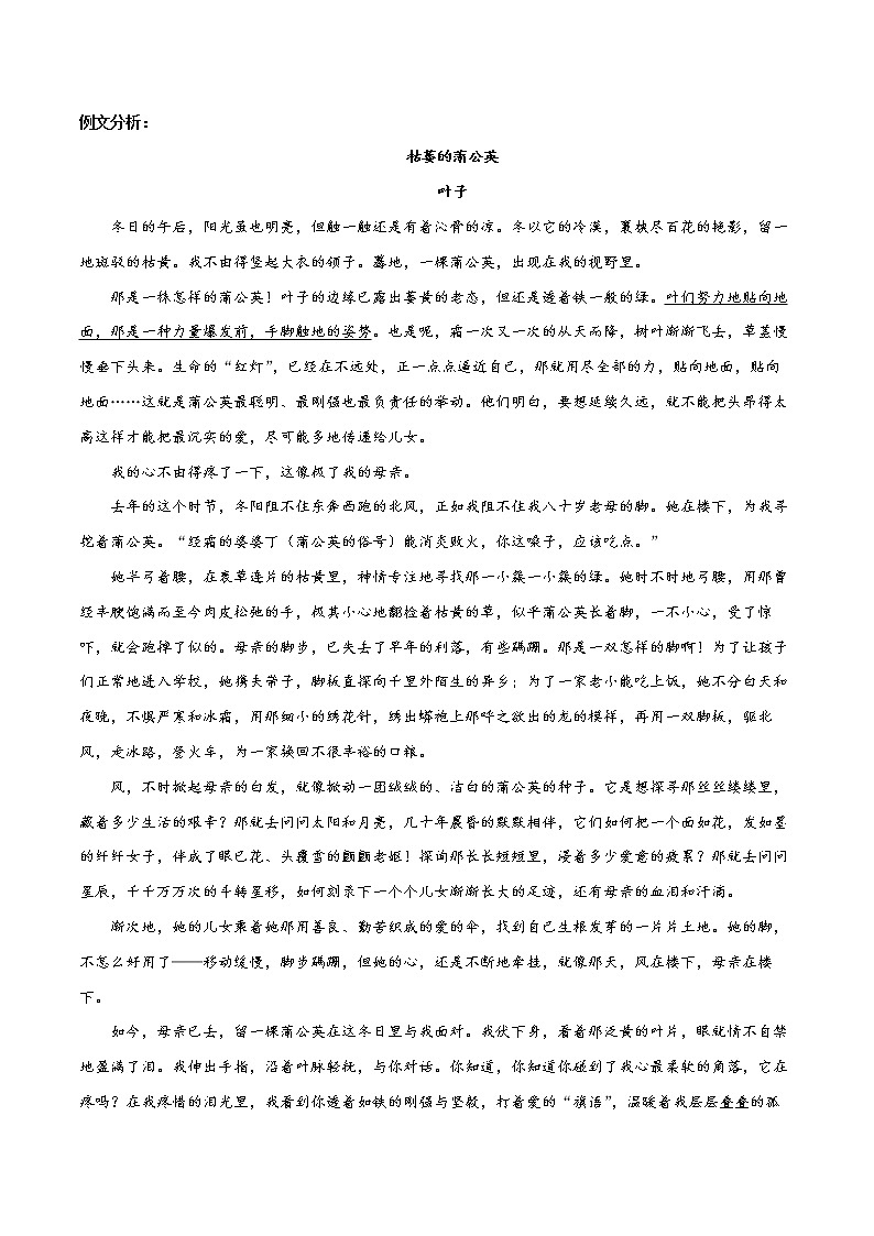 第06讲：赏析文章语言（讲解）- 中考记叙文阅读黄金技巧十讲 试卷02