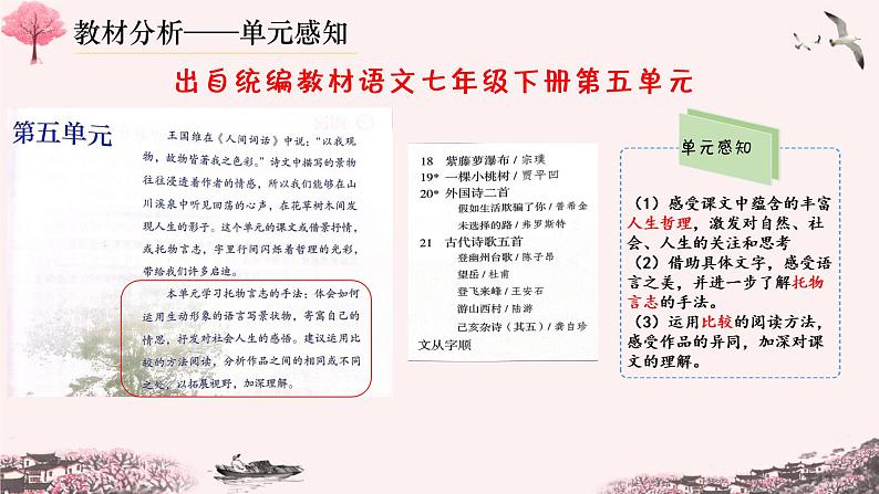 【人教部编版】七下语文  19 《一棵小桃》树课件第2页