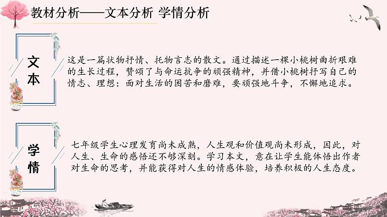 【人教部编版】七下语文  19 《一棵小桃》树课件第3页