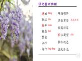 【人教部编版】七下语文  18 紫藤萝瀑布  课件