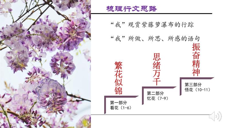 【人教部编版】七下语文  18 紫藤萝瀑布  课件04