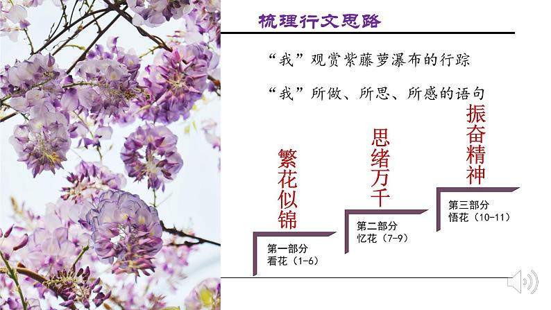 【人教部编版】七下语文  18 紫藤萝瀑布  课件04