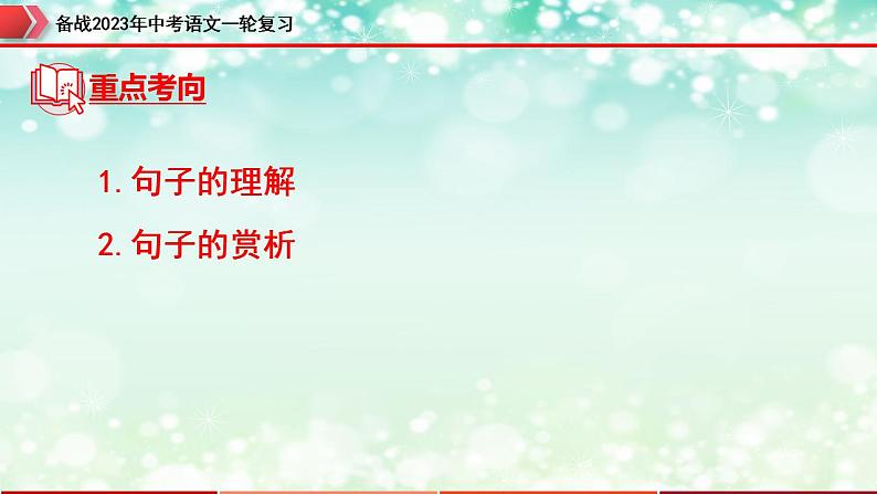专题13：记叙文阅读之句子的理解与赏析【精品课件】-备战2023年中考语文一轮复习（全国通用）第5页