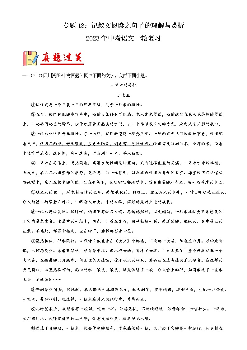 专题13：记叙文阅读之句子的理解与赏析【习题精练】-备战2023年中考语文一轮复习（全国通用） （解析版）第1页