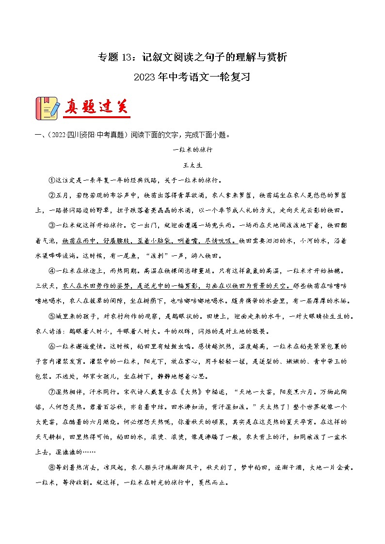 专题13：记叙文阅读之句子的理解与赏析【习题精练】-备战2023年中考语文一轮复习（全国通用） （原卷版）第1页