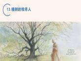 2021-2022学年部编版七年级上册第13课《植树的牧羊人》课件