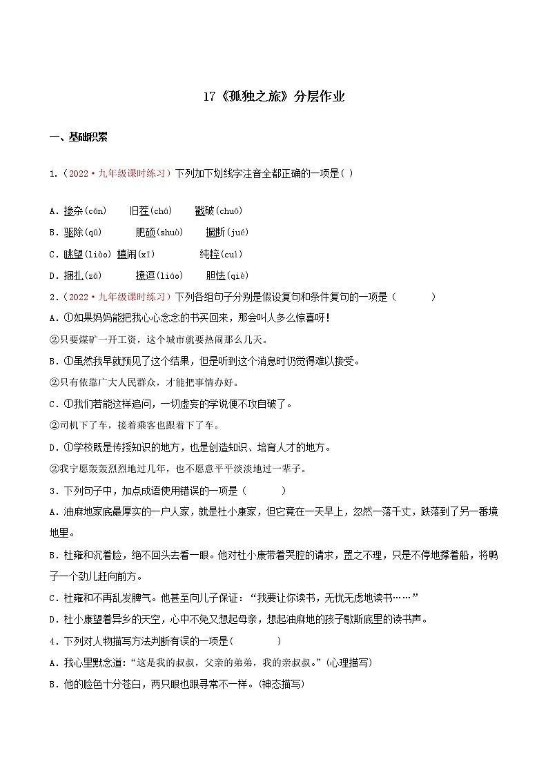 第17课《孤独之旅》 （课件+教案+导学案+视频素材） 九年级语文上册同步备课系列（部编版）01