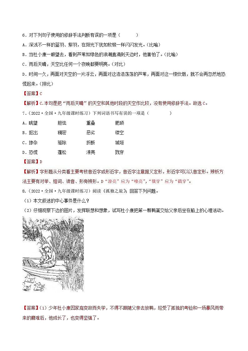第17课《孤独之旅》 （课件+教案+导学案+视频素材） 九年级语文上册同步备课系列（部编版）03