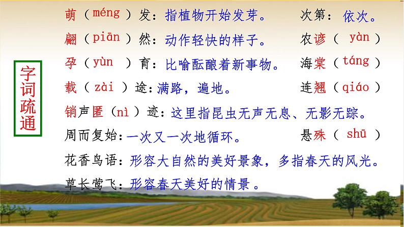 5大自然的语言第6页