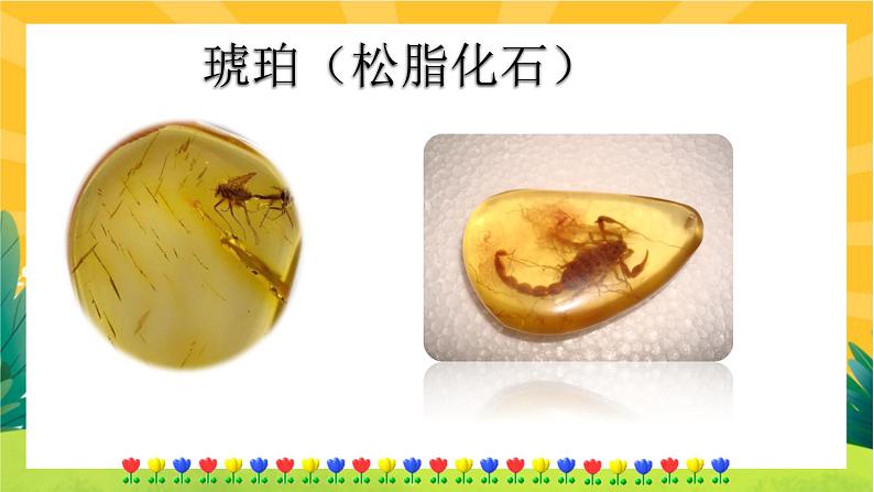 8 时间的脚印（课件PPT+教案+导学案+音视频素材）04