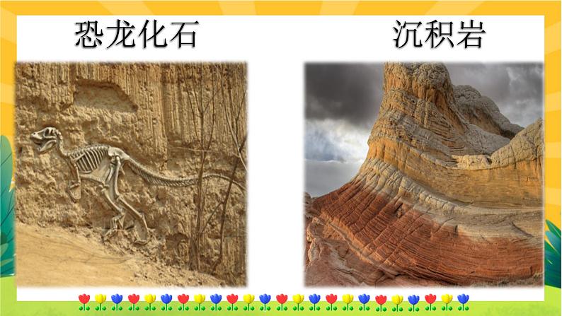 8 时间的脚印（课件PPT+教案+导学案+音视频素材）05