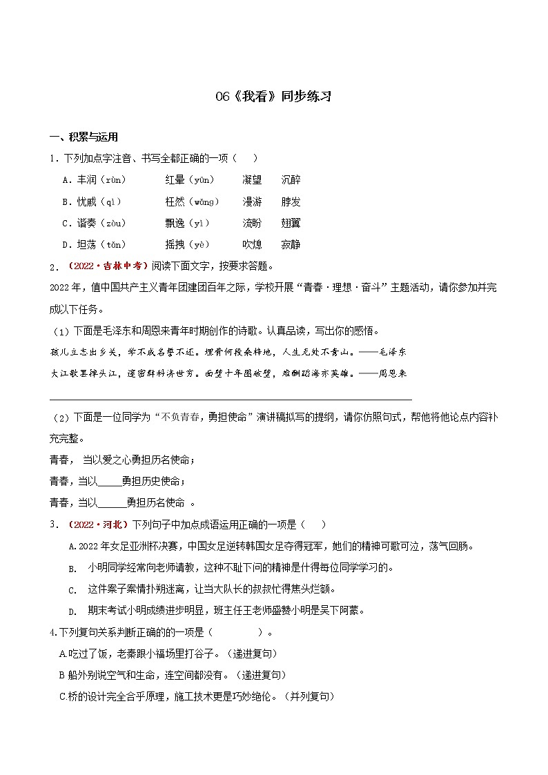 第6课《我看》（同步练习）-2022-2023学年九年级语文上册同步备课系列（部编版）（原卷版）第1页