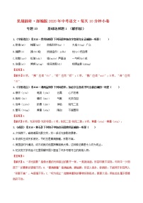 初中语文中考复习 19小卷 基础选择题（一）【第一辑】（解析版）