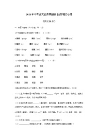 初中语文中考复习 2021年陕西省中考语文临考押题卷