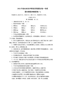 初中语文中考复习 2021年四川省凉山州中考语文模拟冲刺试卷（一）