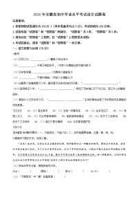 初中语文中考复习 精品解析：安徽省2020年中考语文试题（解析版）