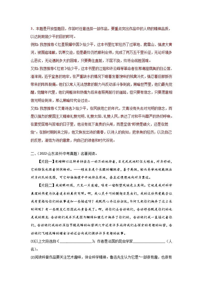 初中语文中考复习 06 名著阅读专题（知识点思维导图+习题训练）-备战2023年中考语文冲刺专题系列第3页