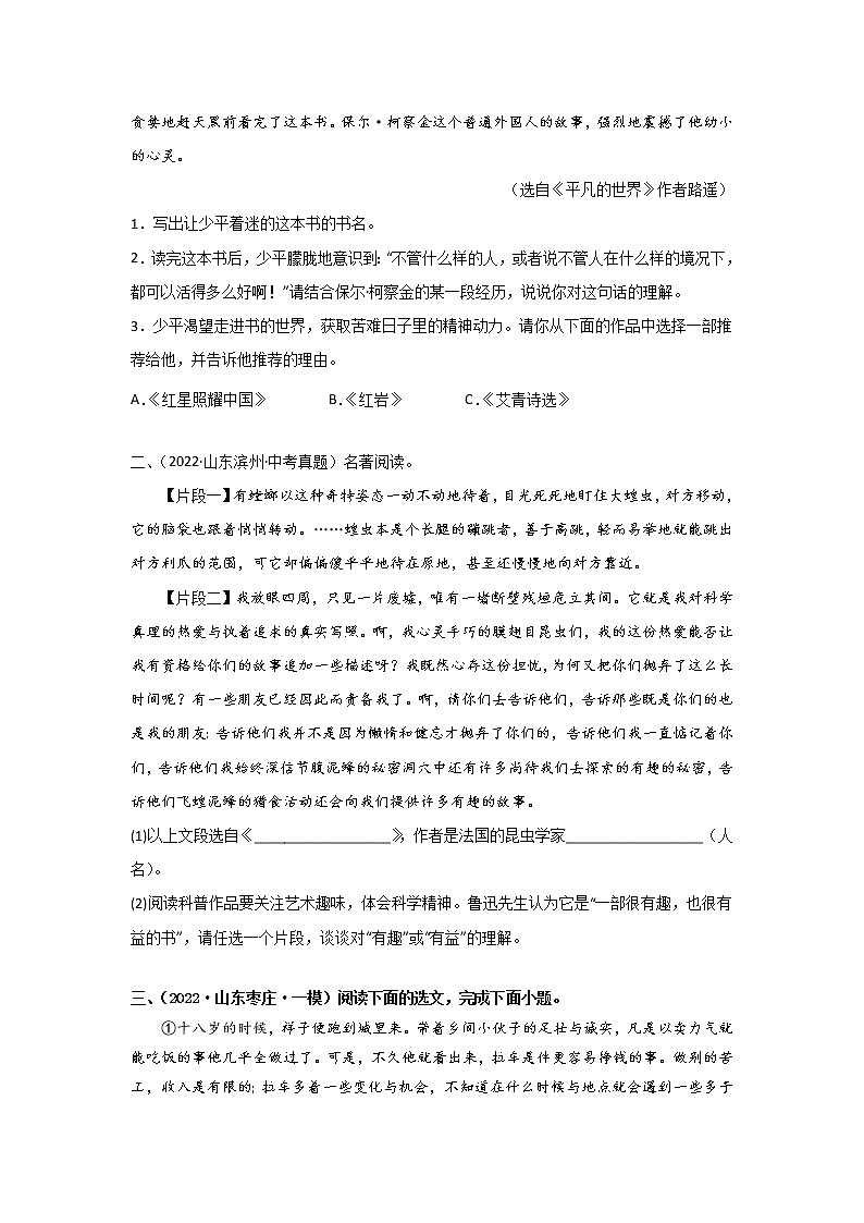 初中语文中考复习 06 名著阅读专题（知识点思维导图+习题训练）-备战2023年中考语文冲刺专题系列第2页