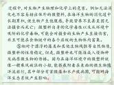 初中语文中考复习 2020届中考语文总复习课件：第二部分 阅读 实用类说明文阅读