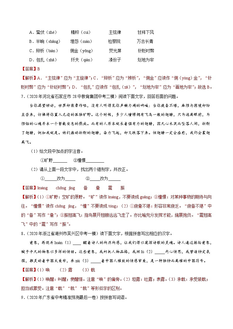 初中语文中考复习 考点02 字形-备战2021年中考语文考点一遍过第3页