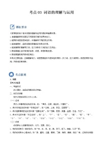 初中语文中考复习 考点03  词语的理解与运用-备战2023年中考语文一轮复习重点难点通关讲练测（解析版）