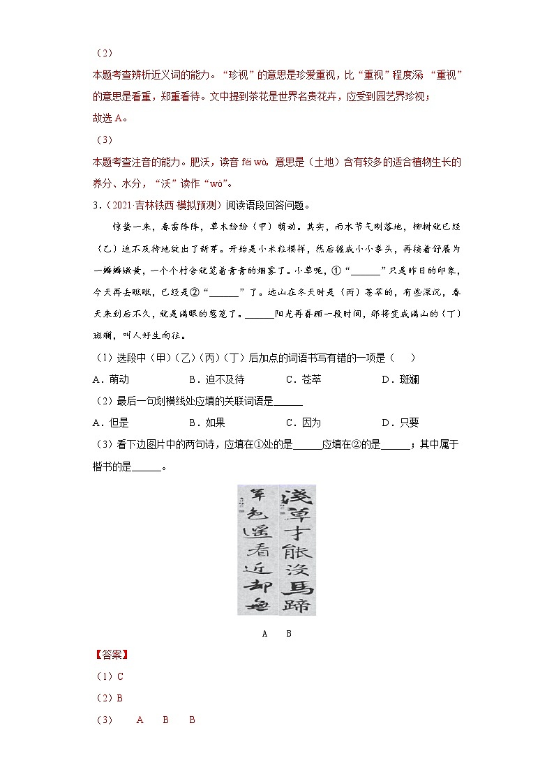 初中语文中考复习 考点03 语言运用之综合运用-备战2022年中考语文一轮复习考点帮（全国通用） 试卷03