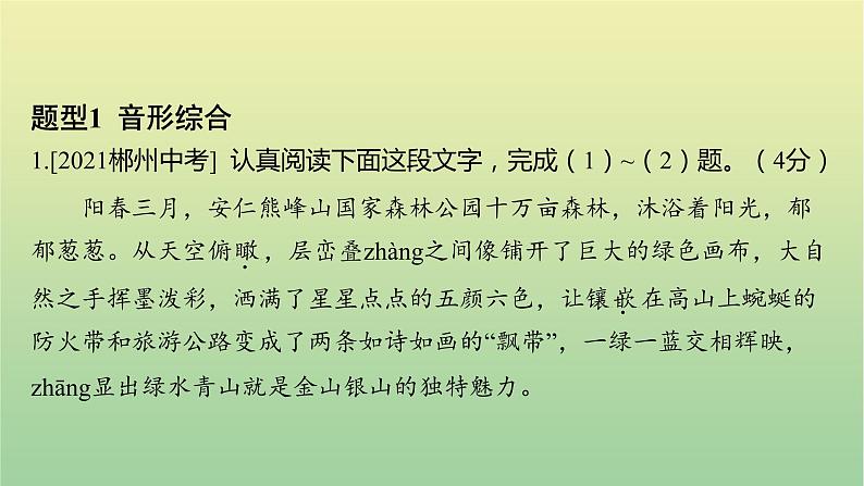 2023年中考语文一轮复习专题一字音、字形课件第2页