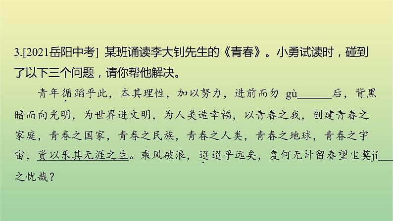 2023年中考语文一轮复习专题一字音、字形课件第5页