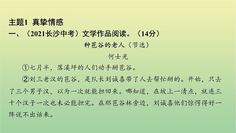 2023年中考语文一轮复习专题十四文学作品阅读课件02