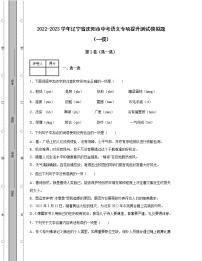 2022-2023学年辽宁省沈阳市中考语文专项提升测试模拟题（一模二模）含解析