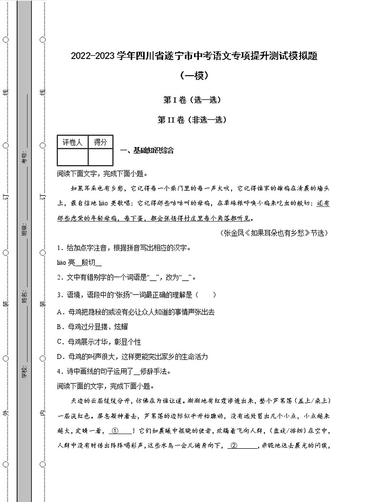 2022-2023学年四川省遂宁市中考语文专项提升测试模拟题（一模二模）含解析01