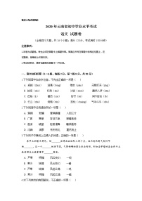 初中语文中考复习 云南省2020年中考语文真题试卷（解析版）