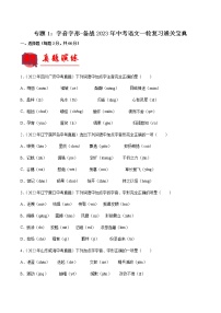 初中语文中考复习 专题01  字音字形【专题检测】-备战2023年中考语文一轮复习通关宝典（解析版）