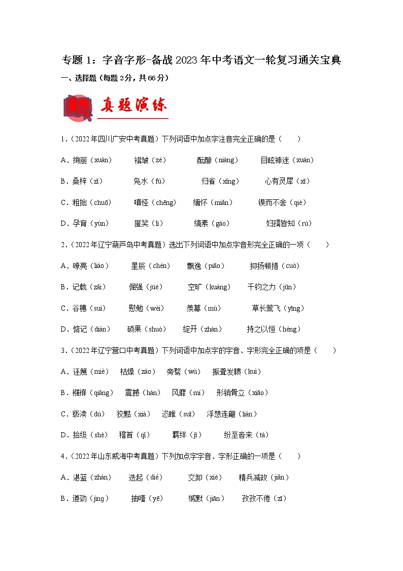 初中语文中考复习 专题01  字音字形【专题检测】-备战2023年中考语文一轮复习通关宝典（原卷版）第1页