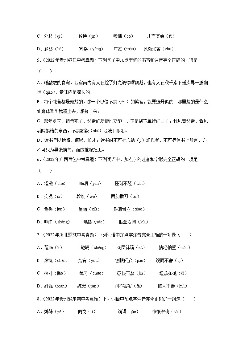 初中语文中考复习 专题01  字音字形【专题检测】-备战2023年中考语文一轮复习通关宝典（原卷版）第2页